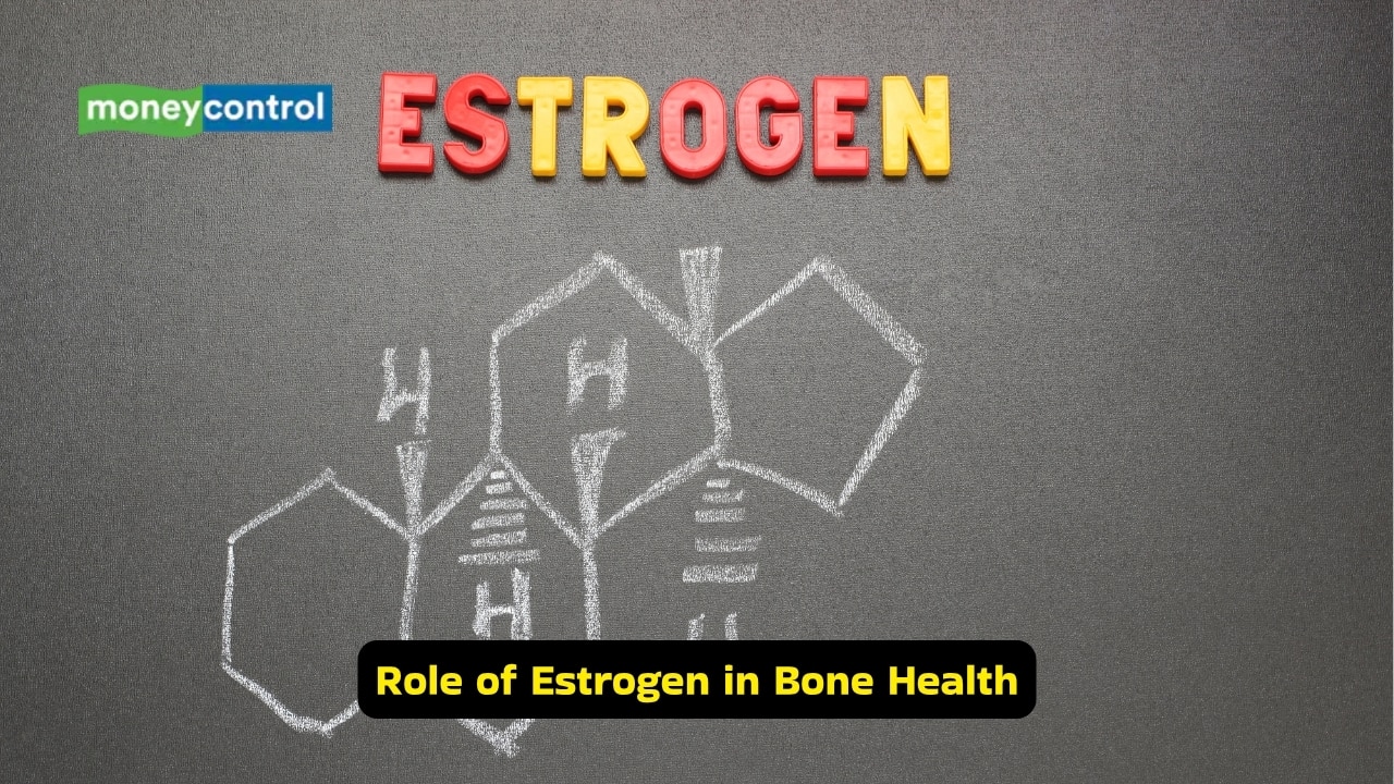 Osteoporosis Causes, symptoms, and prevention tips for stronger bones (Image: Canva)