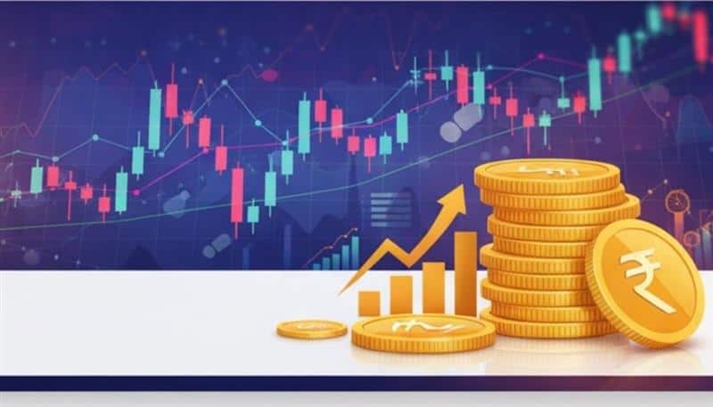 Axis Max Life BSE 500 Dividend Leaders 50 Index Fund: A Passive Investment that Leverages the Performance of High Dividend Yield Companies