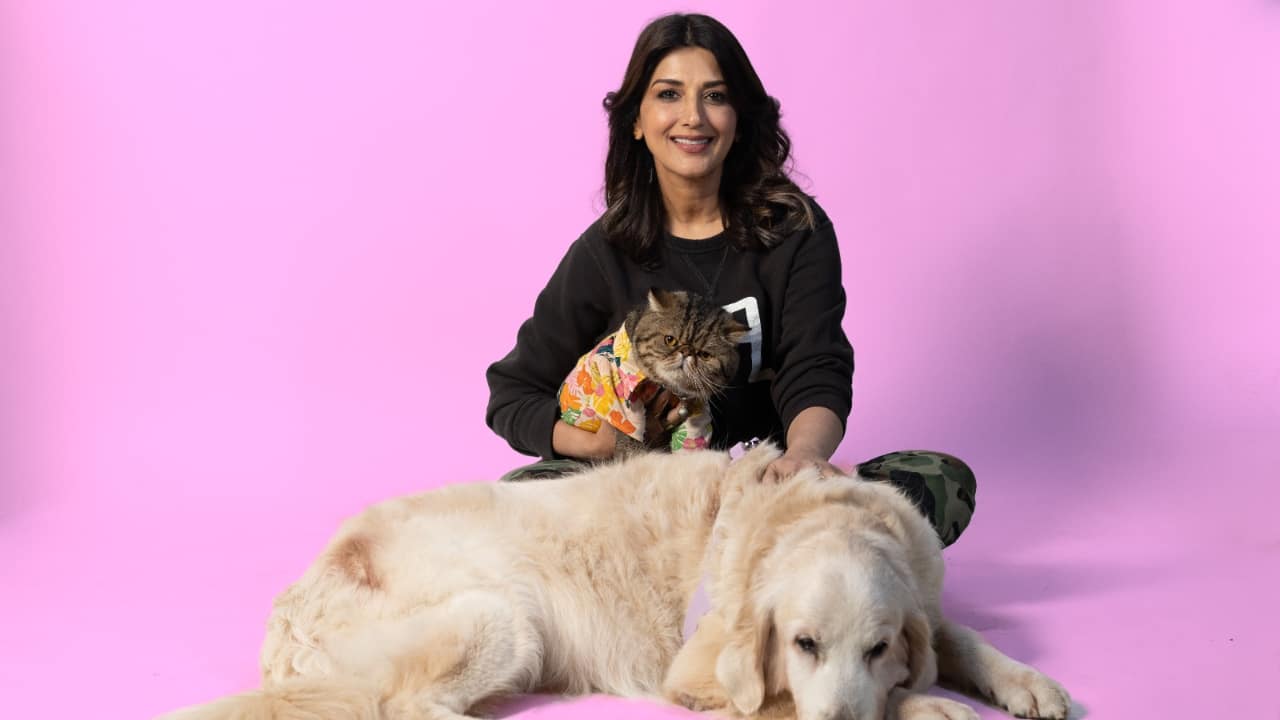 Sonali Bendre: 'Icy could sense my immense pain, she slept on my legs every night during cancer recovery' - EXCLUSIVE