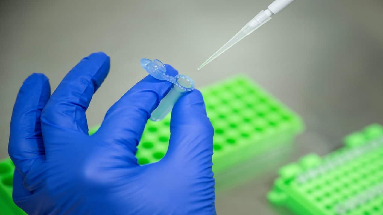 Silicon Valley’s bet on ‘designer babies’: What’s happening, who’s behind it, and why it’s so contentious