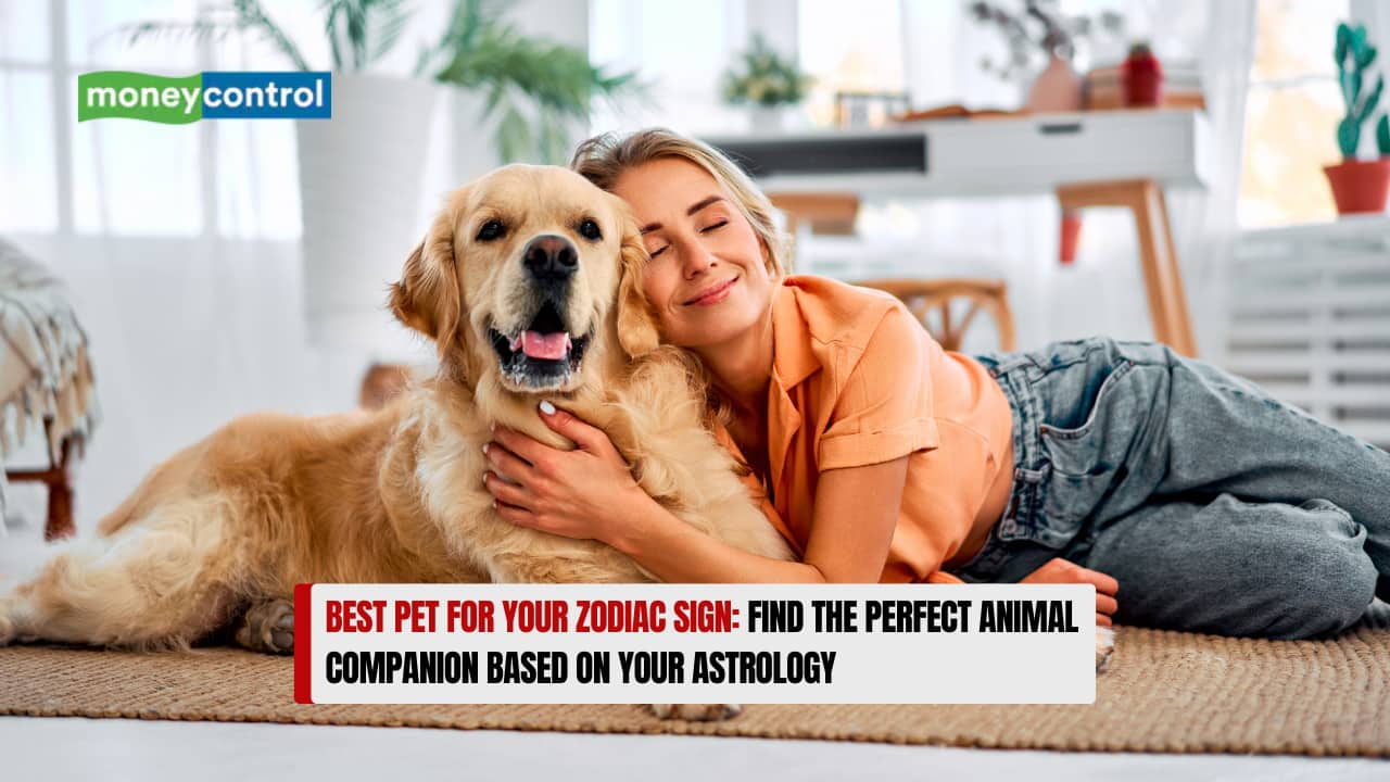 Best Pet for Your Zodiac Sign: Find the Perfect Animal Companion Based on Your Astrology