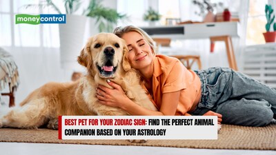 Best Pet for Your Zodiac Sign: Find the Perfect Animal Companion Based on Your Astrology Best Pet for Your Zodiac Sign: Find the Perfect Animal Companion Based on Your Astrology