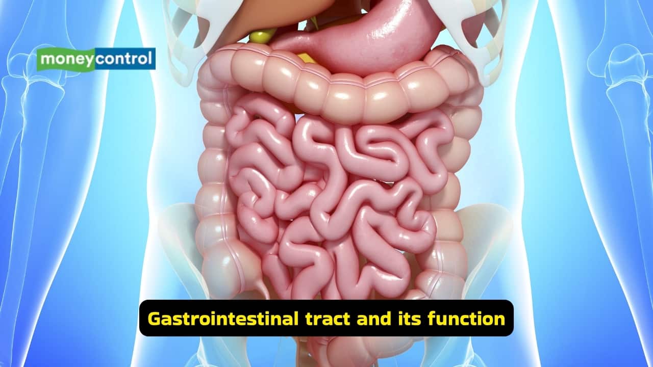 Causes of blood in stool: It could be fissures, haemorrhoids, ulcers, IBD, or malignancy