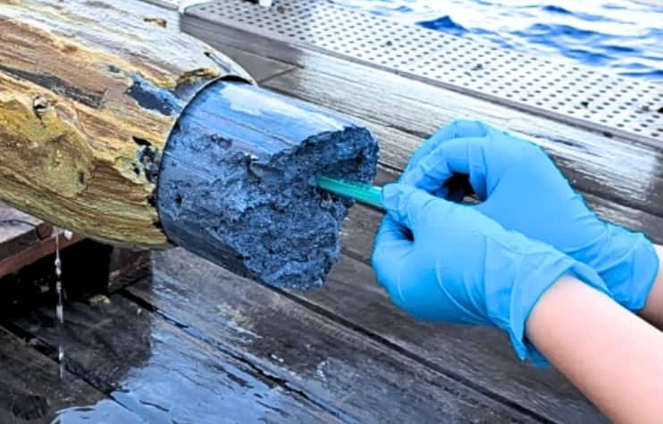 Mysterious blue volcanic goo reveals hidden microbial life deep beneath the sea
