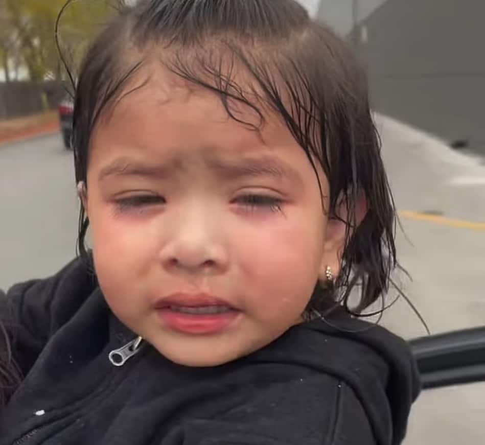 One-year-old pepper-sprayed during US federal immigration operation in Chicago suburb