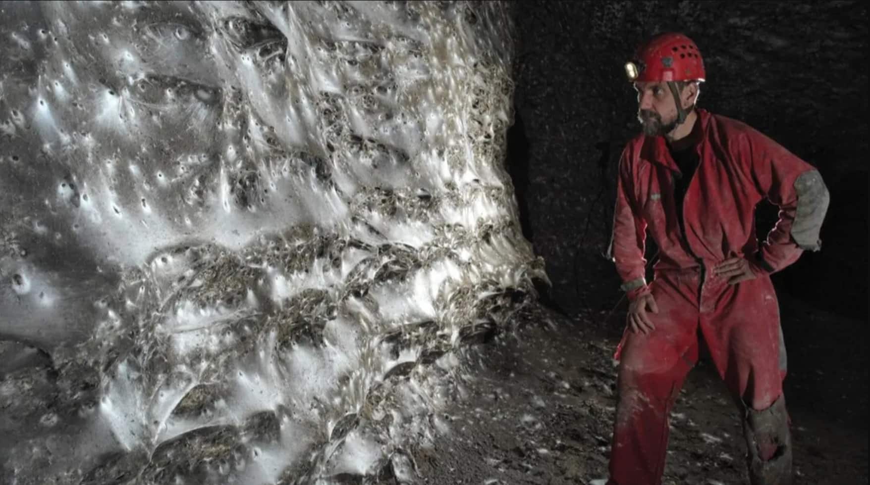 Inside the cave with the world’s biggest spider web