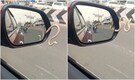 ‘Bite spot not blind spot’: Karnataka man finds snake in side mirror while driving. Watch