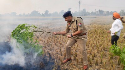 Delhi pollution: Stubble burning started in Punjab, Haryana, worsening NCR air quality levels, SC told