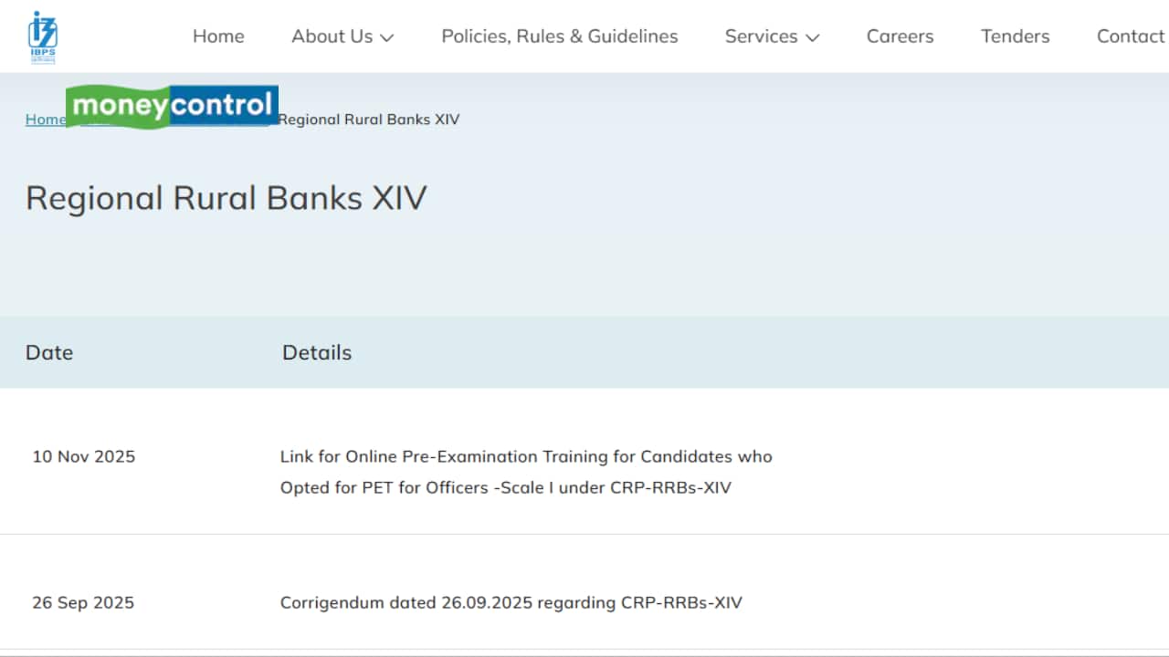 IBPS RRB PO Admit Card 2025 for Pre-Exam Training Out at ibps.in; Direct Link Here