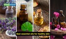 Winter skin SOS: Why essential oils are your best bet for skin repair this season