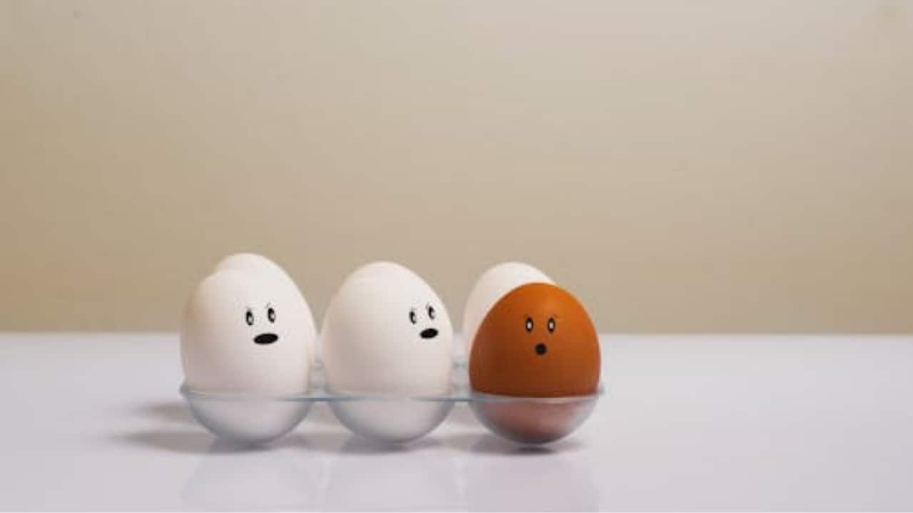 Brown eggs vs white eggs: Expert shares which ones are more healthy