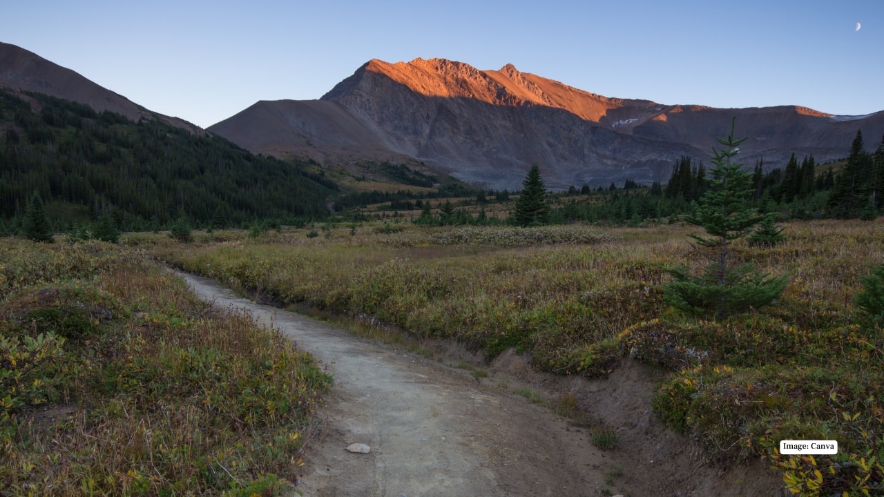 9. Bald Hills Trail, Jasper, Canada Route: Maligne Lake, Jasper National Park Length: 15 km | Duration: Half-day | Best Time: June–September Perfect for beginners, this moderate trail rewards with 360° mountain vistas and sweeping views of Maligne Lake. The summit is an ideal picnic spot — one of the most scenic lunches you’ll ever have.