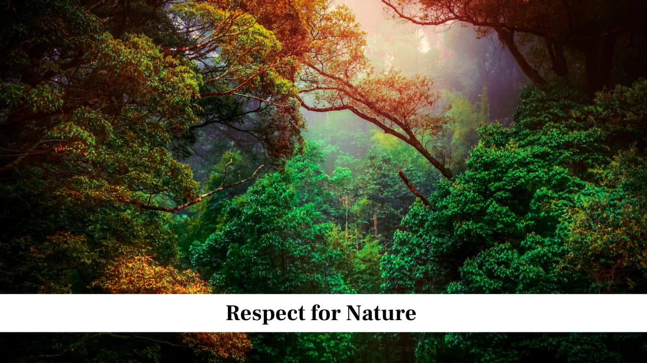 Respect for Nature