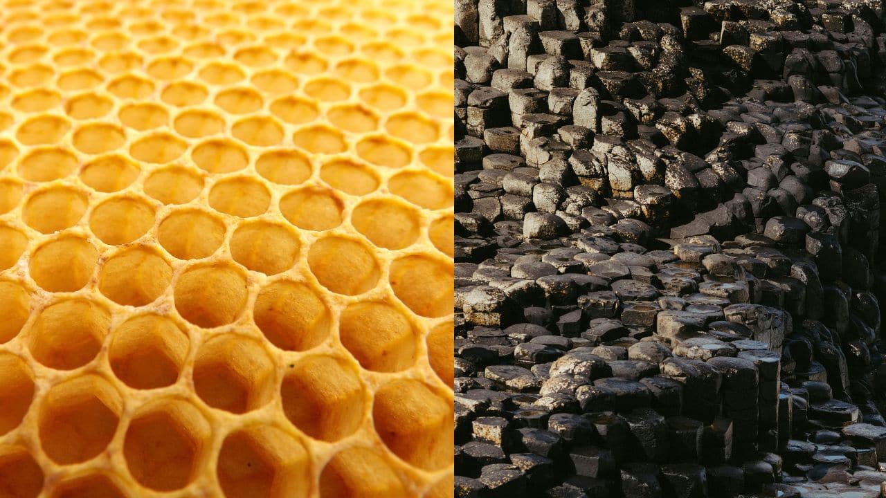 Honeycomb – Basalt Columns: Bees and volcanoes create similar geometry. Perfect hexagons form both honeycombs and basalt columns, showing that natural order emerges from chaos in all environments. (Image: Canva) Honeycomb – Basalt Columns: Bees and volcanoes create similar geometry. Perfect hexagons form both honeycombs and basalt columns, showing that natural order emerges from chaos in all environments. (Image: Canva)