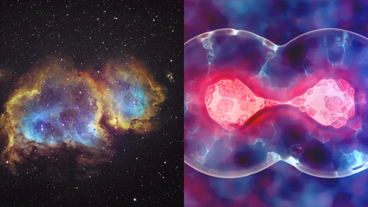 Death of a Star – Birth of a Cell: A dying star exploding in space mirrors a cell dividing under a microscope—both mark powerful transitions of destruction giving rise to creation. (Image: Canva) Death of a Star – Birth of a Cell: A dying star exploding in space mirrors a cell dividing under a microscope—both mark powerful transitions of destruction giving rise to creation. (Image: Canva)