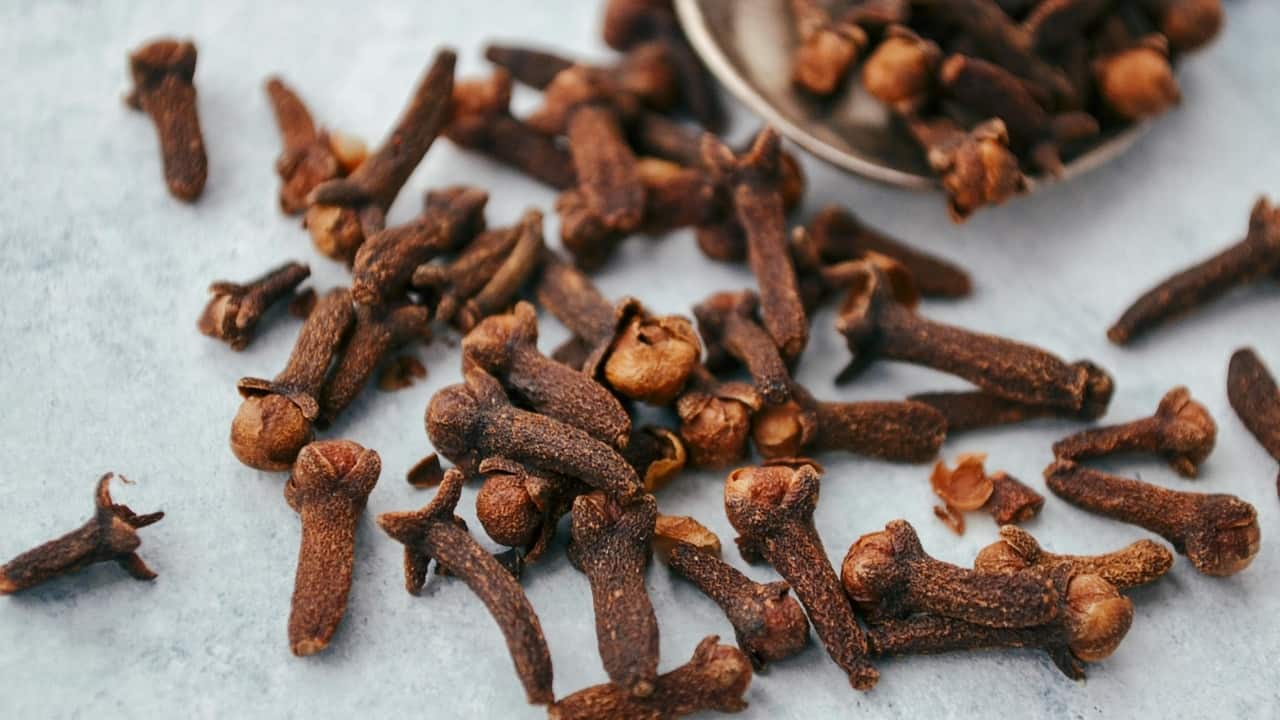 One clove a day keeps your heart happy, controls cholesterol: Ayurvedacharya lists its many health benefits One clove a day keeps your heart happy, controls cholesterol: Ayurvedacharya lists its many health benefits