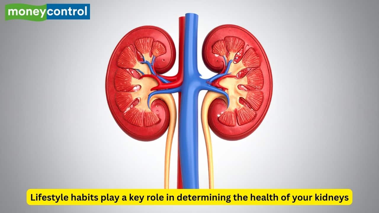 Nephrologist suggests 5 healthy habits to keep your kidneys healthy