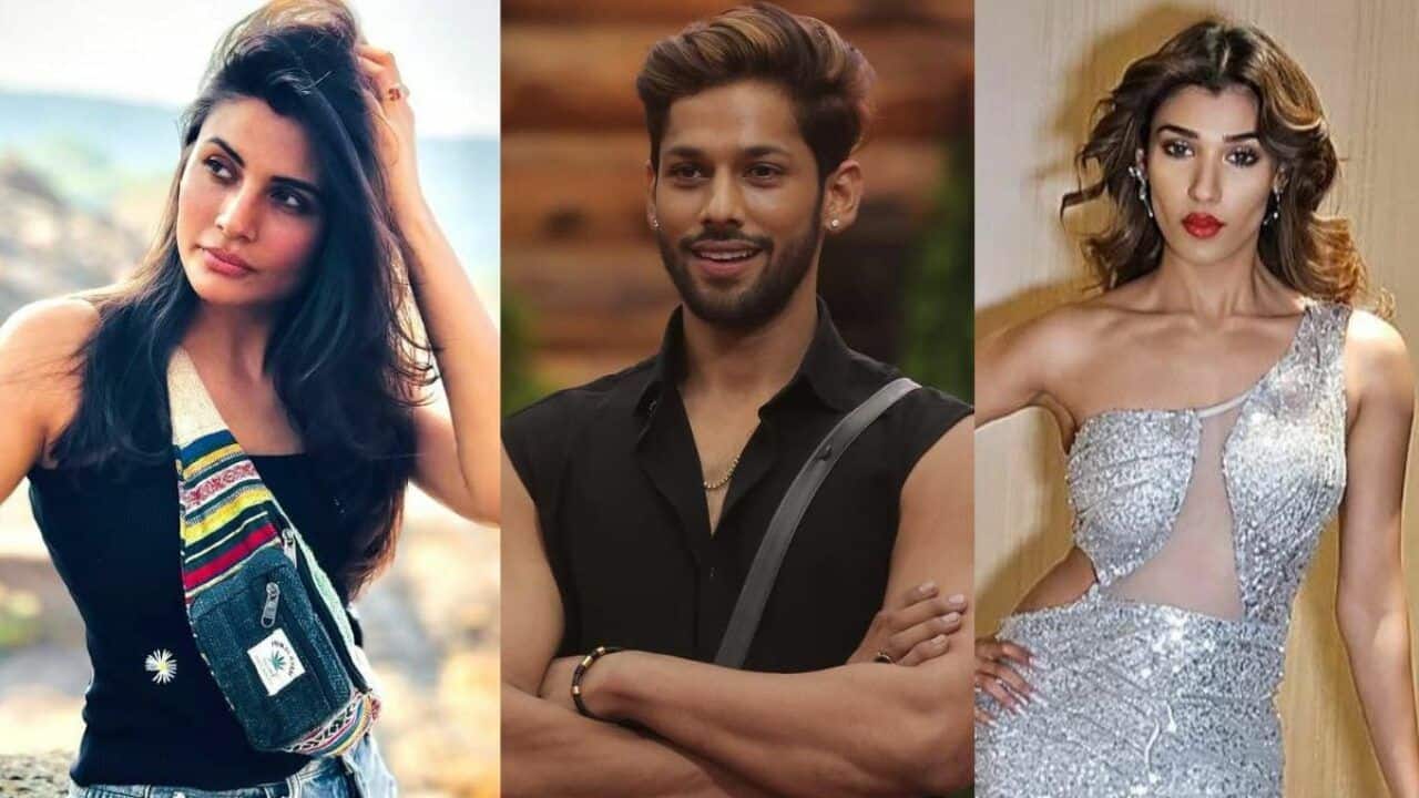 Strategic move of Nehal She implied that Nehal and Baseer had a &quot;pre-decided strategy&quot; to never nominate each other and that they were more than friends, which they were probably faking.