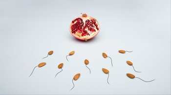 A warming planet is subtly influencing reproductive health in ways that demand urgent attention, doctors said. (Representational image: Unsplash)