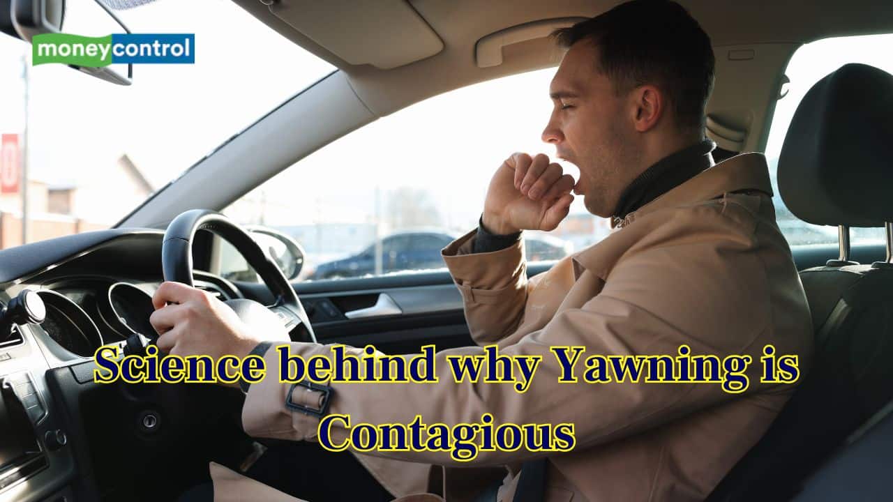 Learn the Science Behind Why Yawning Is Contagious