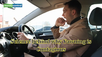 Yawning is contagious (Image: Canva)
