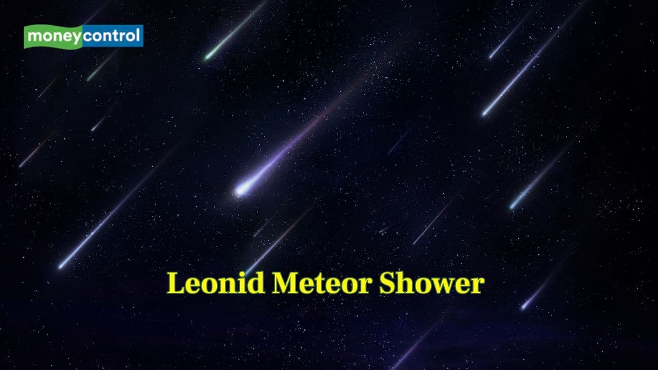 Catch the Leonid Meteor Shower lighting up November skies Catch the Leonid Meteor Shower lighting up November skies