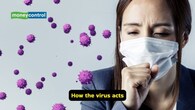 <strong>How the virus acts</strong><br />When viruses enter the body, they begin replicating inside the human cells, which in turn triggers the immune response. This response leads to the development of symptoms like fever and weakness. The symptoms may be worse in the extremes of age, and in immunocompromised individuals.