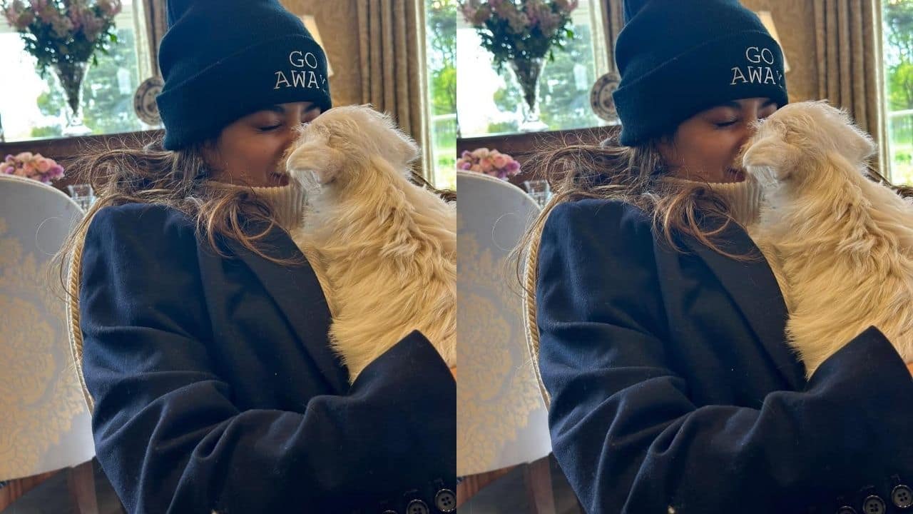 Janhvi Kapoor Wearing a cream turtleneck sweater with a dark blue French coat and a black beanie, Janhvi Kapoor manages to look soft, understated, and incredibly chic. Her cuddly dog in her hands completes the image of comfortable cosiness, while the addition of cream and blue hues lends warmth to the ensemble. This "simple yet cosy" style demonstrates how Janhvi can elevate even an ordinary winter day to the ideal setting.