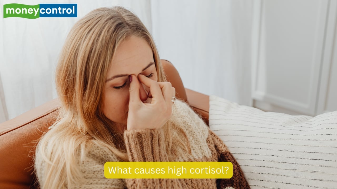 What causes high cortisol? Chronic stress, lifestyle factors, and certain medications. Dr Kunal Sood, a board-certified MD, in his post on Instagram, shared 6 signs that indicate your cortisol levels may have been too high for too long. (Image: Canva)