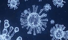 Ethiopia confirms first Marburg outbreak as WHO warns of cross-border risk
