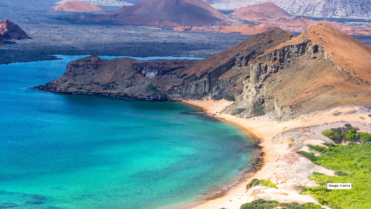 <strong>10. Ecuador</strong><br />Ecuador offers a compact yet diverse adventure. Explore the Galápagos Islands’ unique wildlife, trek the Andes, or wander colonial towns alive with history and color—Ecuador invites travelers to discover and connect with its rich tapestry of landscapes and culture.