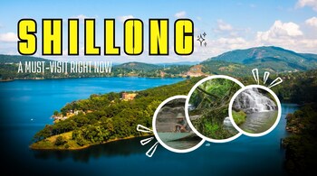 From the tail-end of cherry blossoms to living root bridges, waterfalls, and vibrant local culture, Shillong right now is calling every traveler to experience its magic.
