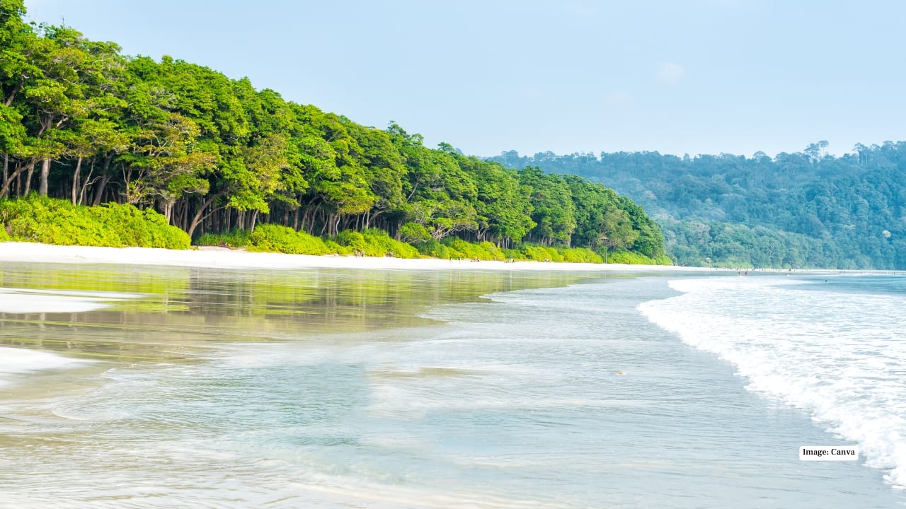 <strong>4. Andaman & Nicobar Islands – Tropical Bliss</strong><br />Radhanagar Beach on Havelock Island is pure paradise. Soft white sands, turquoise waters, and swaying palms create the ultimate romantic or solo retreat. Snorkel, dive, or simply relax under the sun, immersing yourself in one of India’s most pristine coastal landscapes.