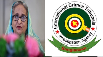 Domestic court in global clothing