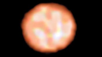 Red giant π¹ Gruis captured by the Very Large Telescope. (Image: ESO)