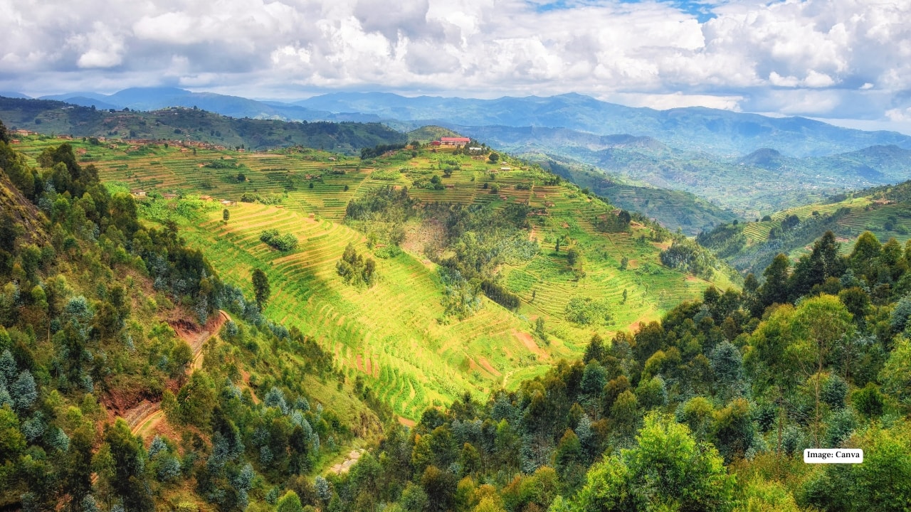 3. Rwanda – Hills, Gorillas, and Heart Rwanda’s rolling green hills and iconic mountain gorillas aren’t the only draw—the nation’s story of resilience and conservation adds a profound layer to every visit, making it a must-see for conscious travellers.