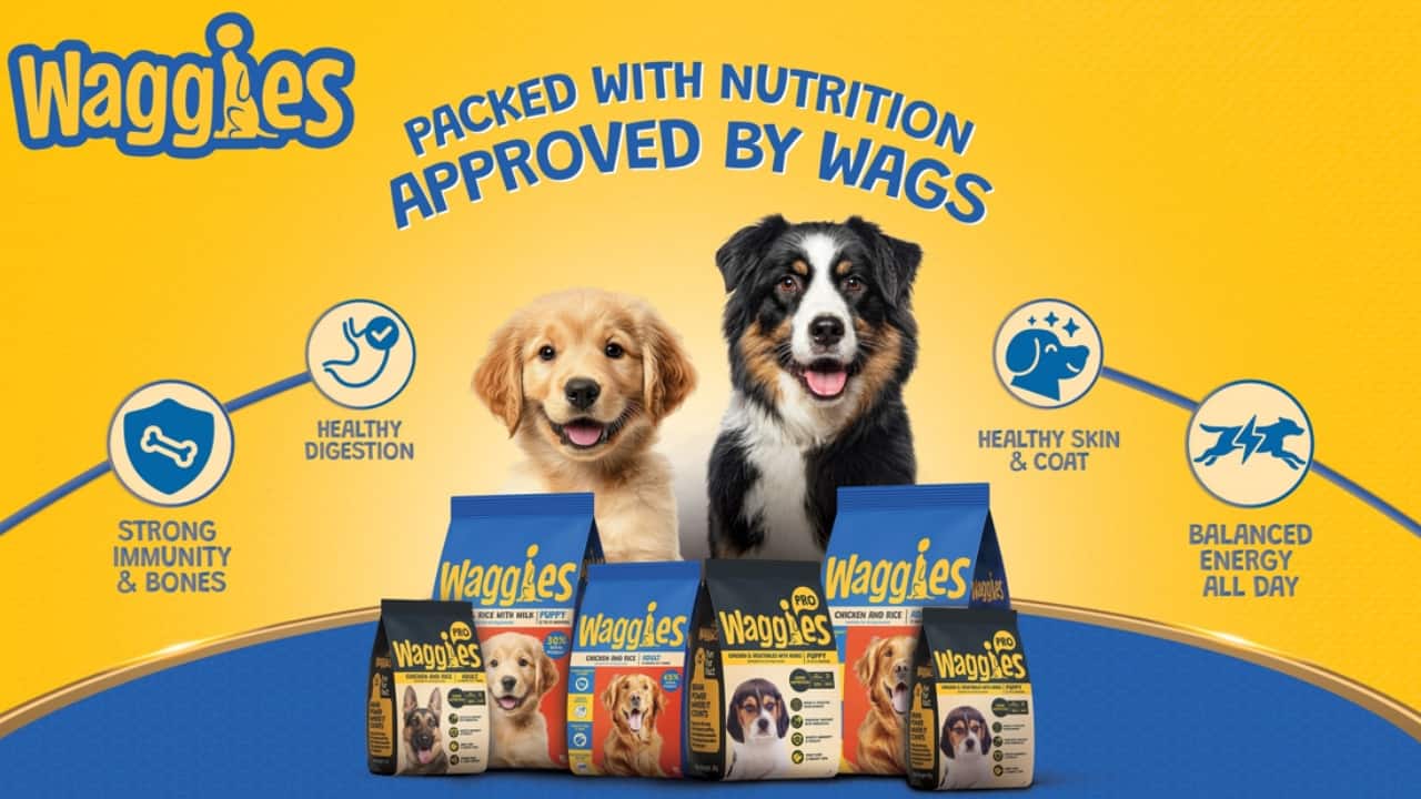 Reliance Consumer Products enters petcare market with 'Waggies' pet food