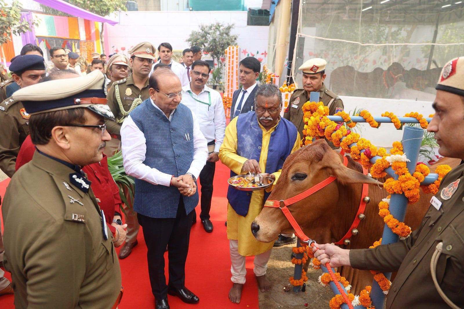 At Tihar Jail, new cow-therapy unit to support inmates dealing with loneliness