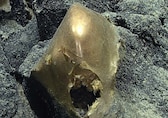 A mysterious golden orb found 3,300 meters below ocean surface