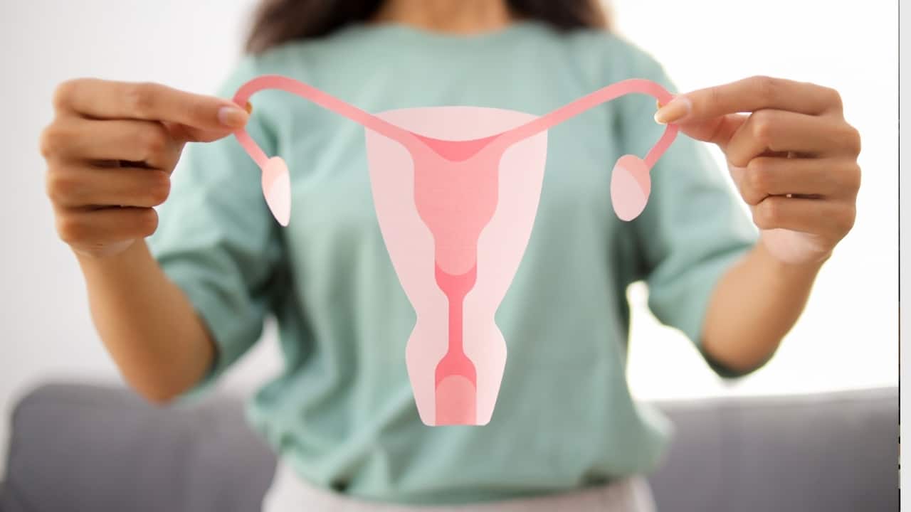 Should you freeze your eggs or embryo? Gynecologist reveals what's best for you