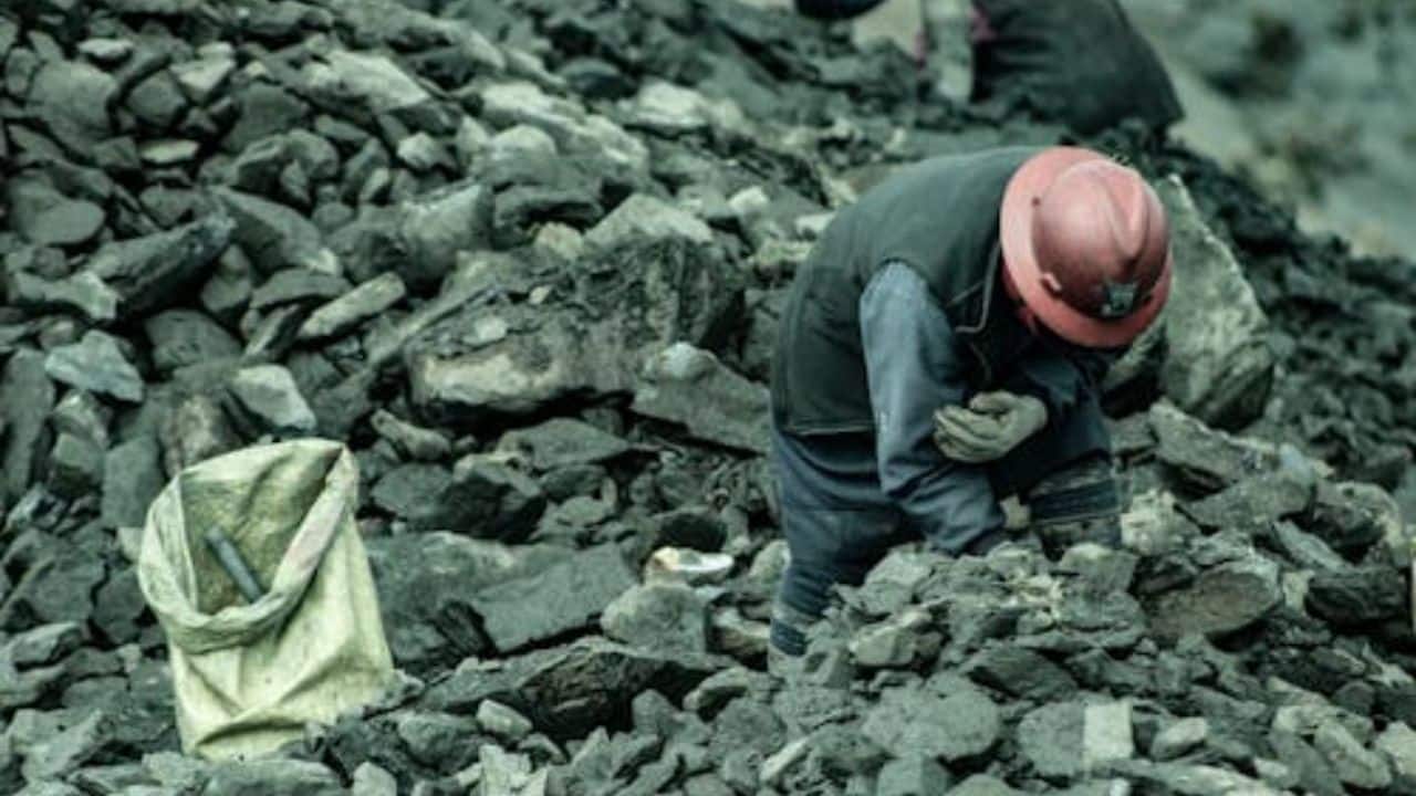 Big crackdown on coal mafia: ED raids over 40 locations in Jharkhand, West Bengal