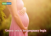 Indian teams uncover how a ‘genetic switch’ lets pregnancy begin