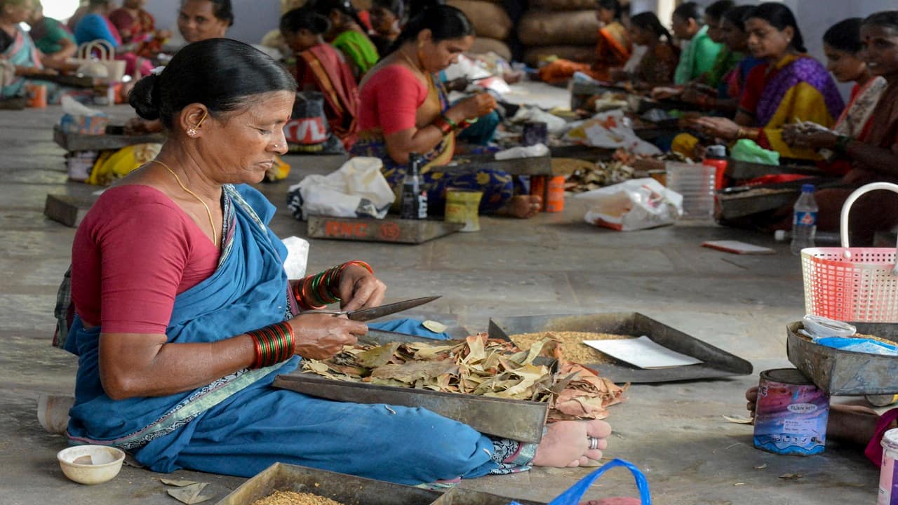 India's structural transformation is raising potential growth — but only for some