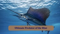 <strong>3. Ultimate Predator of the Blue:</strong> Every movement is calculated; their streamlined body allows stealthy approaches before a sudden, explosive attack on unsuspecting prey. (Image: Canva)
