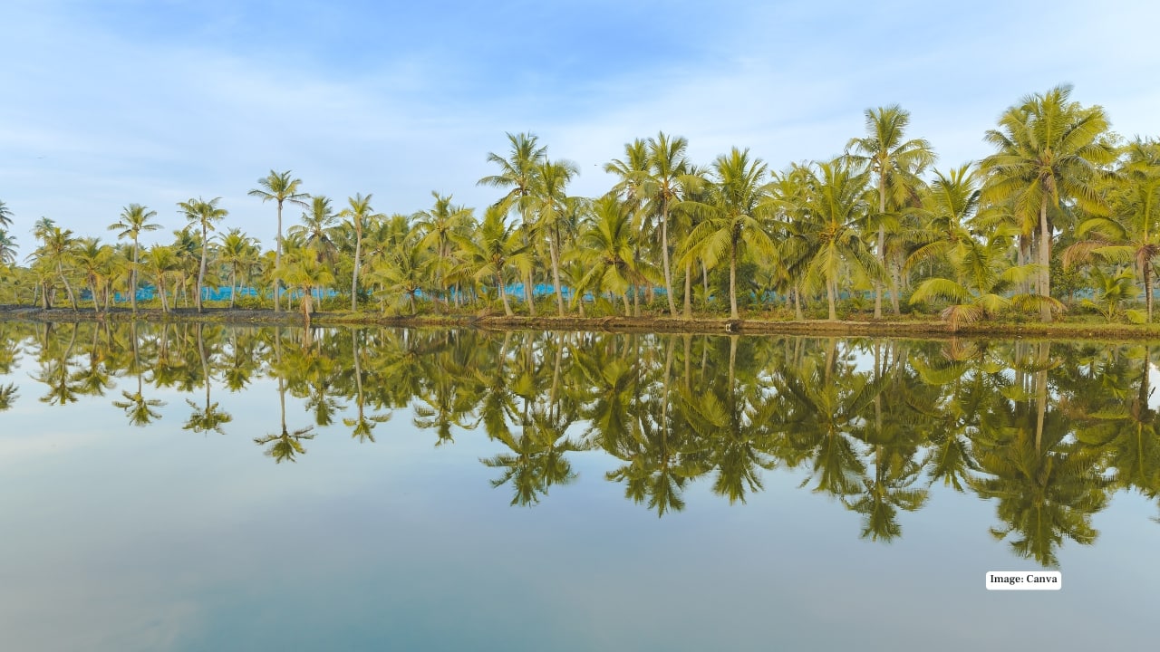 <strong>6. Munroe Island, Kollam</strong><br />Cradled between Ashtamudi Lake and the Kallada River, Munroe Island feels like it was sculpted out of water. Narrow canals, mangroves, traditional coir-making and rustic homestays make it the perfect place for travellers seeking unfiltered Kerala.