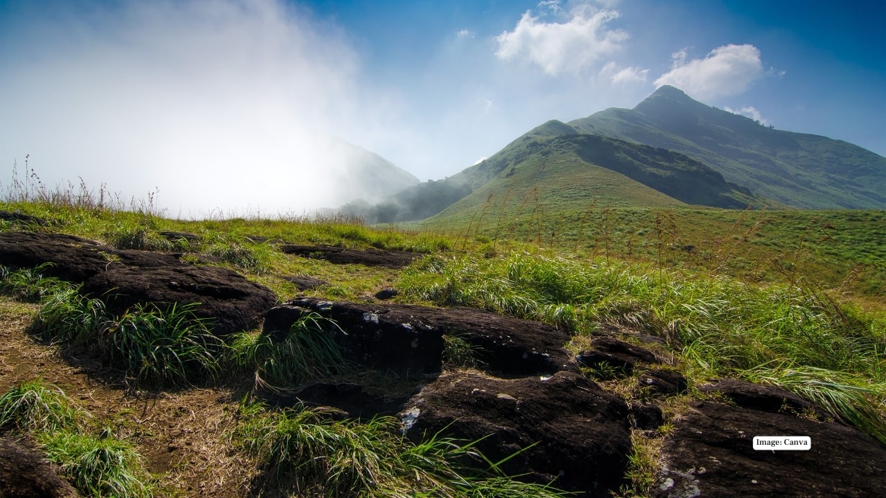 <strong>13. Chembra Peak, Wayanad</strong><br />Famous for its heart-shaped lake, Chembra Peak is one of Kerala’s most romantic and rewarding treks. The trail winds through dense forests and open meadows before revealing a summit view that feels like walking above the clouds.