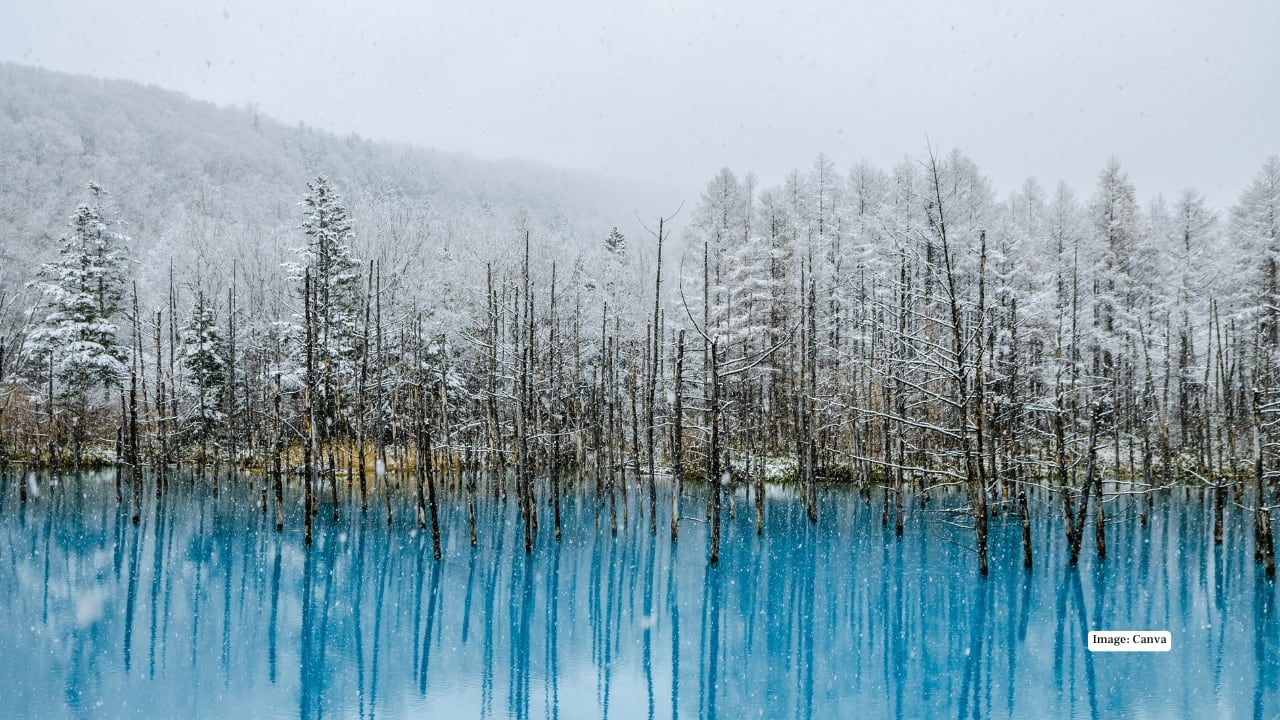 4. Blue Pond, Hokkaido, Japan – Nature’s Turquoise Gem Japan’s Blue Pond turns icy in winter, but its signature turquoise hue remains. Snow-dusted trees, quiet reflections, and icy formations create a serene, almost magical atmosphere that makes every photo feel like a postcard. 4. Blue Pond, Hokkaido, Japan – Nature’s Turquoise Gem Japan’s Blue Pond turns icy in winter, but its signature turquoise hue remains. Snow-dusted trees, quiet reflections, and icy formations create a serene, almost magical atmosphere that makes every photo feel like a postcard.