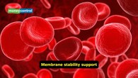<strong>Membrane stability support</strong><br />Vitamin E is present in the lipid membranes, and thus stabilises them and helps in preventing their breakdown. It also protects red blood cells and the nervous tissue, along with the muscle cells, as they are more susceptible to oxidative stress. A deficiency of vitamin E may lead to fragile red blood cells.