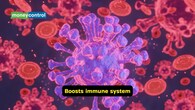 <strong>Boosts immune system</strong><br />The immune response of the body is influenced by this fat-soluble vitamin, as it promotes the activity of T-cells and enhances the production of antibodies. It aids in defending the body against pathogens and infections, hence, a lack of this vitamin may cause recurrent infections.