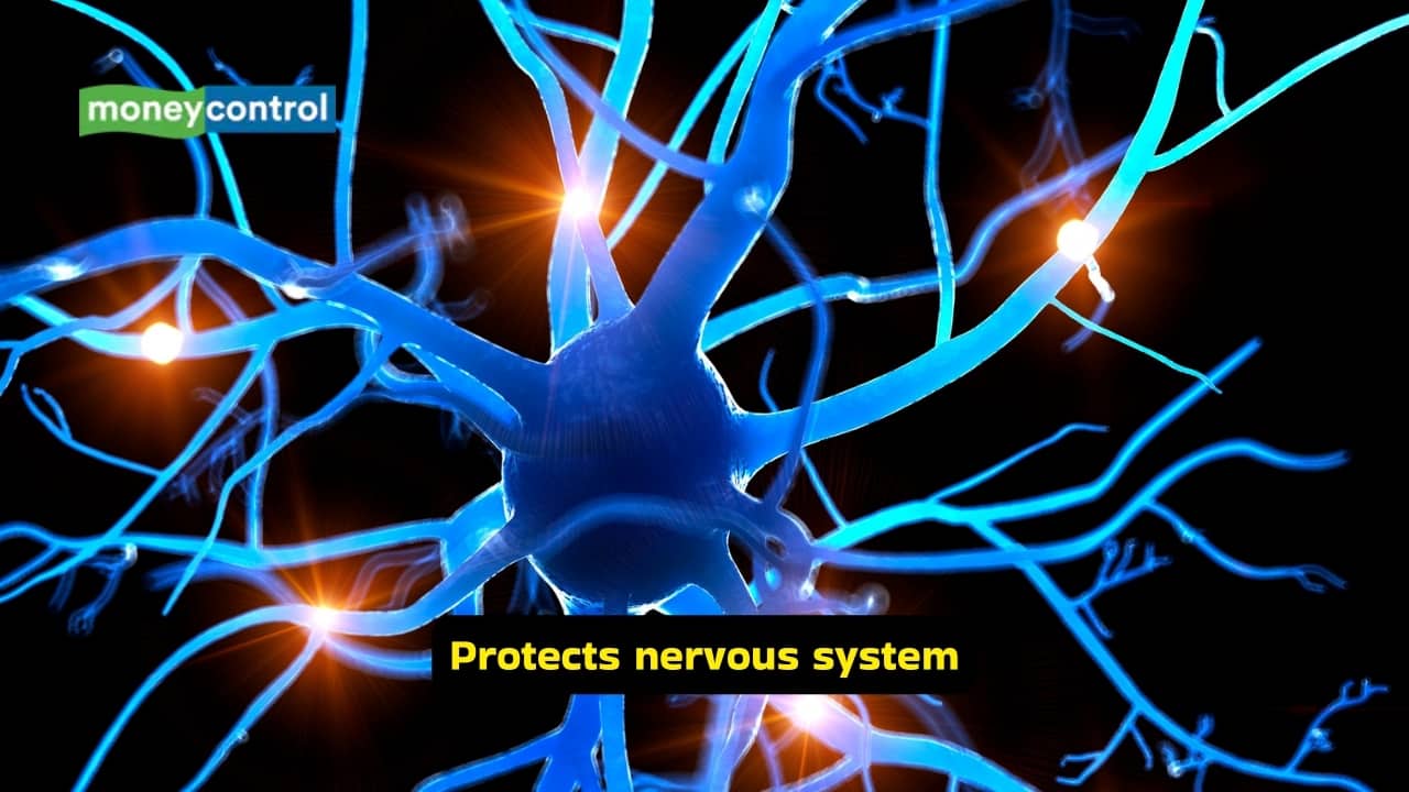 <strong>Protects nervous system</strong><br />The nerve cells of the nervous system are safeguarded by vitamin E from oxidative stress. When the body does not have sufficient amounts of this vitamin, neuropathy and impaired balance may be noticed. It also leads to muscle weakness, and can cause developmental delays in children.